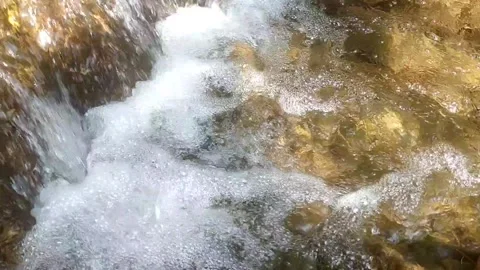 The Serenity of a Mountain Stream Видео 334836681