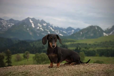 Serenity in the Mountains Stock Photos