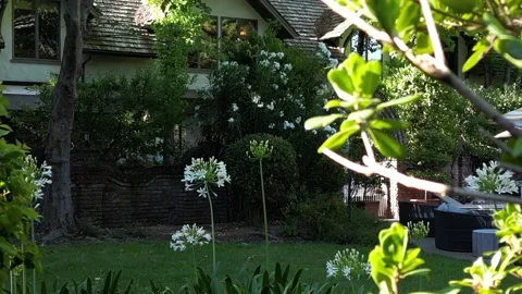 Serenity in Napa County 動画素材 220392948