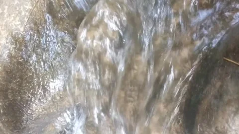 The Serenity of a Natural Waterfall Flow 库存影片 334798248