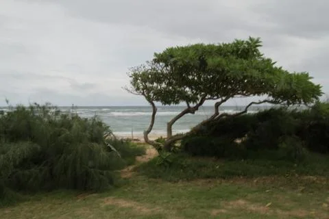 Serenity Stock Photos