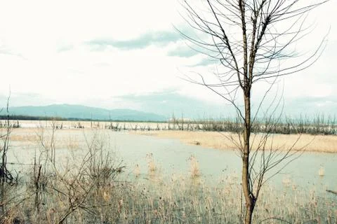 Serenity Stock Photos