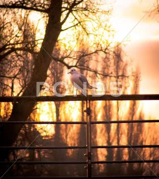 Serenity Stock Photos