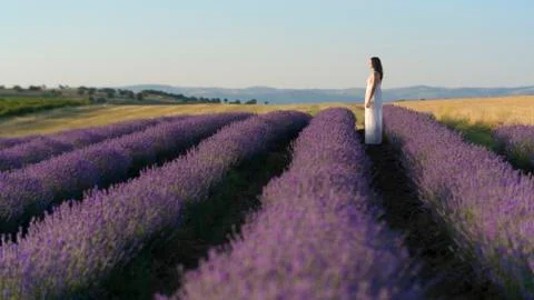 Serenity Stock Photos