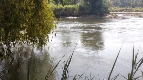 Serenity by the River Stock Footage 337879593