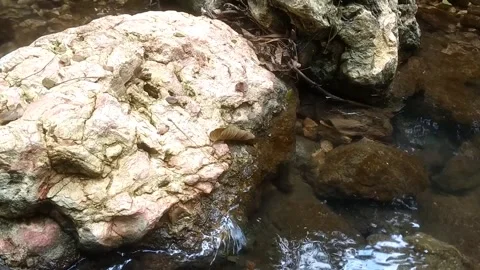 Serenity in the River Stream 库存影片 332923711