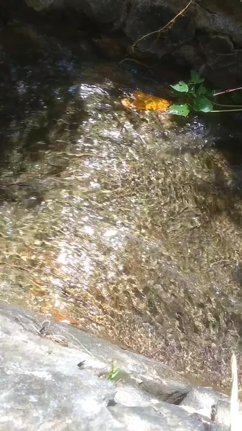 The Serenity of the Rocky Stream Видео 335061931