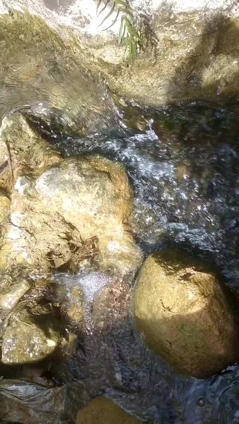 Serenity by the Rocky Stream Видео 335061953