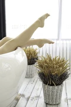 Serenity in Simplicity Stock Photos