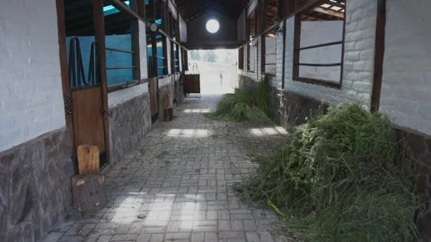 Serenity in the Stables: A Glimpse into Equine Elegance Stock Footage 258293977