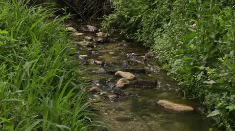 Serenity stream Video stock 22997633