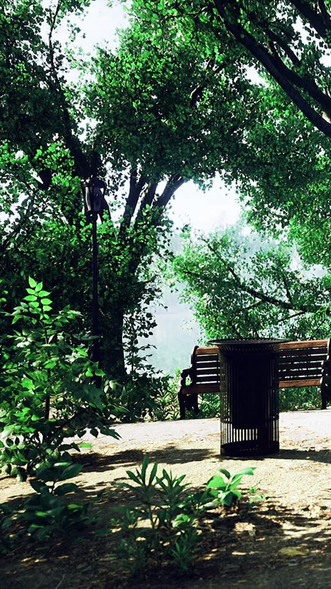 Serenity in a sunlit park with lush greenery and a quiet bench Stock Footage 334205502