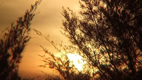 Serenity at Sunset Stock Footage 297870279
