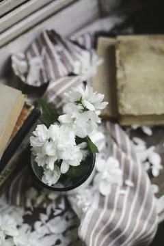 Serenity in White Bloom Foto stock