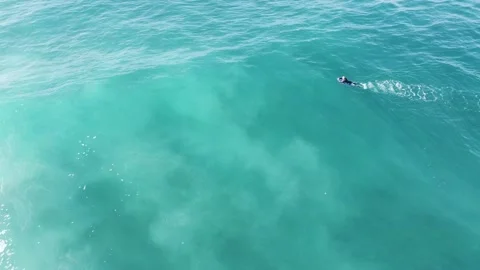 Serfer Stock Footage 228699070