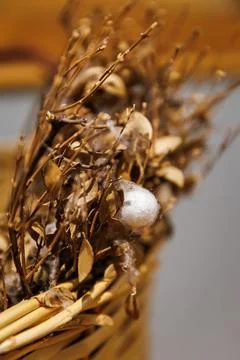Sericulture step by step silk production process in Soufli Evros Greece, white Stock Photos