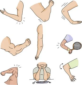 Series of elbows Stock Illustration