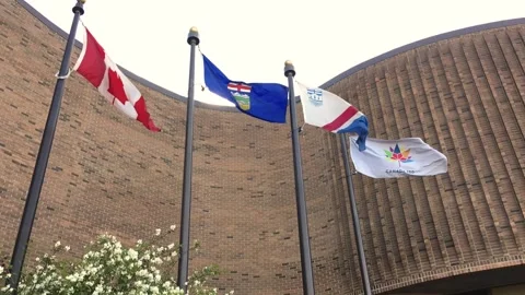 Series of Flags Outside St. Albert Place Stock Footage 137070095