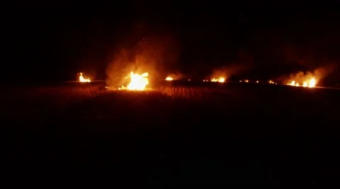 Series of Flames Hearths Gradually Absorbing Dry Grass on the Field in Darkness Stock Footage 66074768