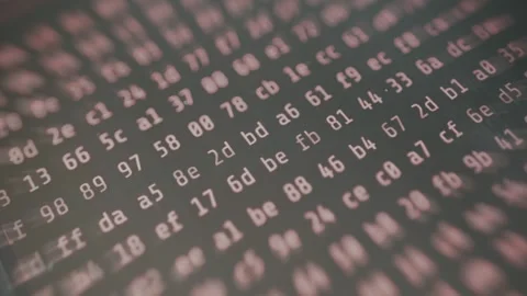 Series of hexadecimal numbers displayed on a screen, cybersecurity concept Stock Footage 335462047