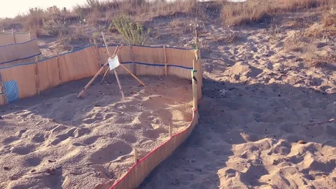 Series of protected marked sea turtle nests by sand beach and people bathing Stock Footage 94021949