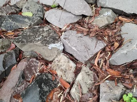 A series of split stones can be used to decorate the edge of a pool 写真素材