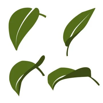 A series of stylized leaf illustrations in a modern flat style イラスト素材