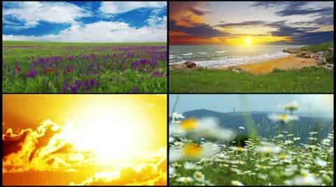 Series of summer landscape Stock Footage 11959858