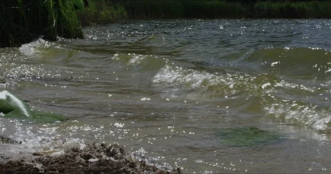 Series of waves by the river. Environmental pollution. High resolution Stock Footage 113514777