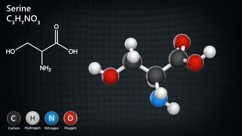 Serine. Seamless loop. Video stock 152764850