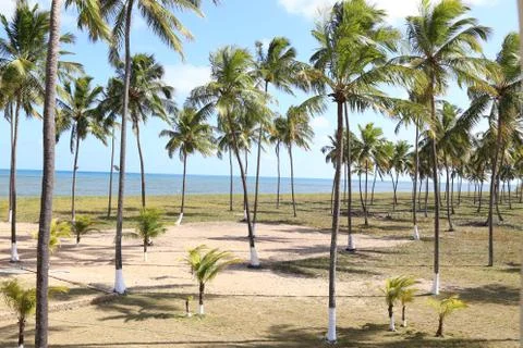 Serinhaém Beach in Pernambuco Stock Photos