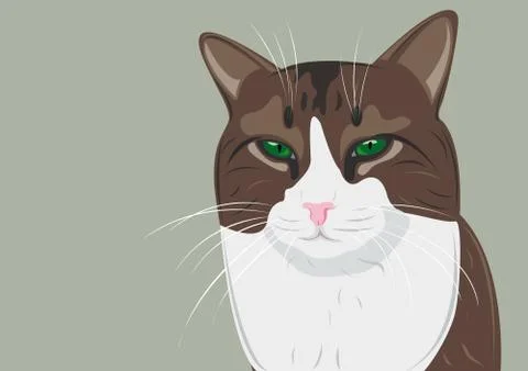 Serious cat Stock Illustration