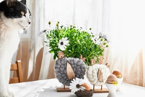 Serious cat sitting on the table with Easter table composition: brown eggs .. Stock Photos