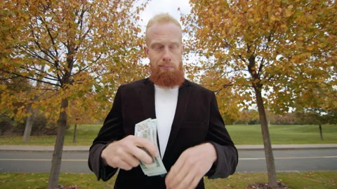 Serious confident man counting dollars, hiding money into inner pocket. Park Video stock 255592227