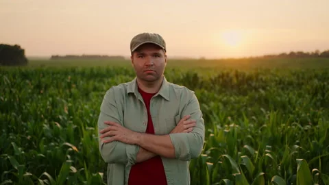Serious Farmer With Folded Hands Looking At Camera, Portrait To In Agricultural Video stock 252539466