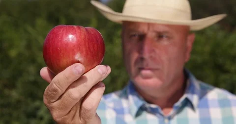 Serious Farmer Image Keeping in Hand and Looking Carefully to a Red Apple Fruit 스톡 동영상 102258364
