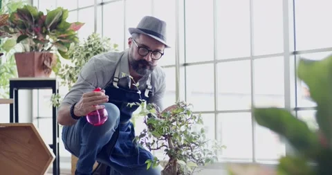 Serious focused man holding plastic pot with water spray water to bonsai tree Stock Footage 139426880