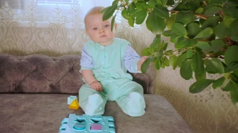 Serious kid sits and pulls leaves at ficus looks at camera Stock Footage 170936366