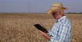 Serious Mature Farm Worker Write in his Agenda Production Management Wheat Field 4k or 4k+ Resolution