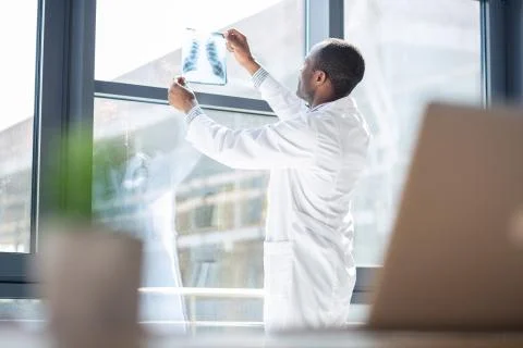 Serious practitioner checking x-ray picture Stock Photos