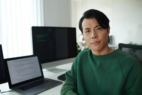 Serious Software Developer Foto stock