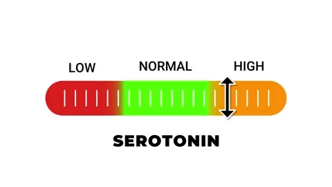 Serotonin Level Bar Animation Low, Normal, High Indicator Scale Video stock 316959917