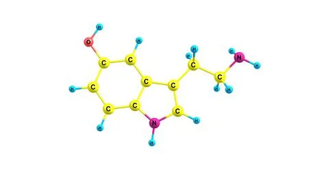 Serotonin molecular structure isolated on white Stock Illustration