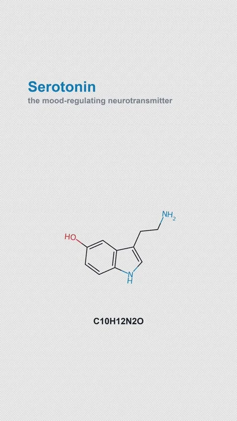 Serotonin Molecular Structure Labeled Chemistry Alpha 4K Vertical 9x16 Light Stock Footage 340007550