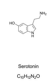 Serotonin molecule, skeletal formula Stock Illustration