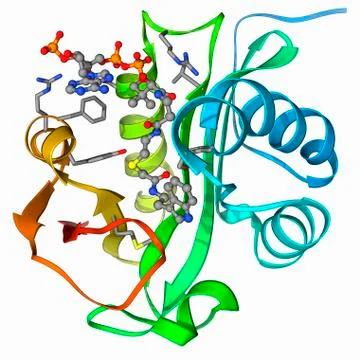 Serotonin N-acetyl transferase molecule Stock Illustration