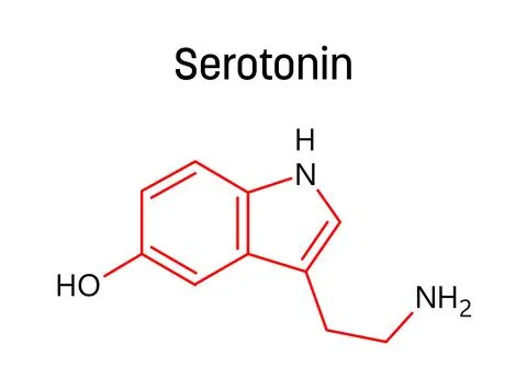 Serotonin structural formula of molecular structure Stock Illustration
