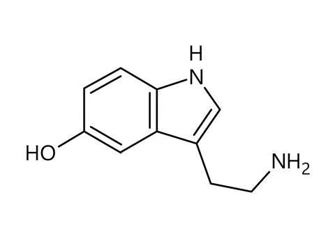 Serotonin structural formula of molecular structure 스톡 일러스트