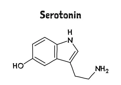 Serotonin structural formula of molecular structure 스톡 일러스트