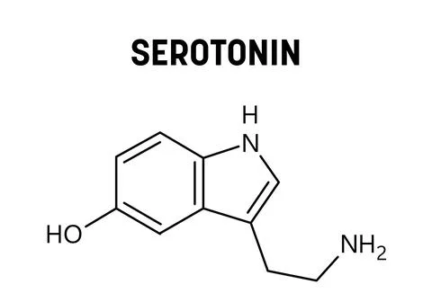Serotonin structural formula of molecular structure 스톡 일러스트
